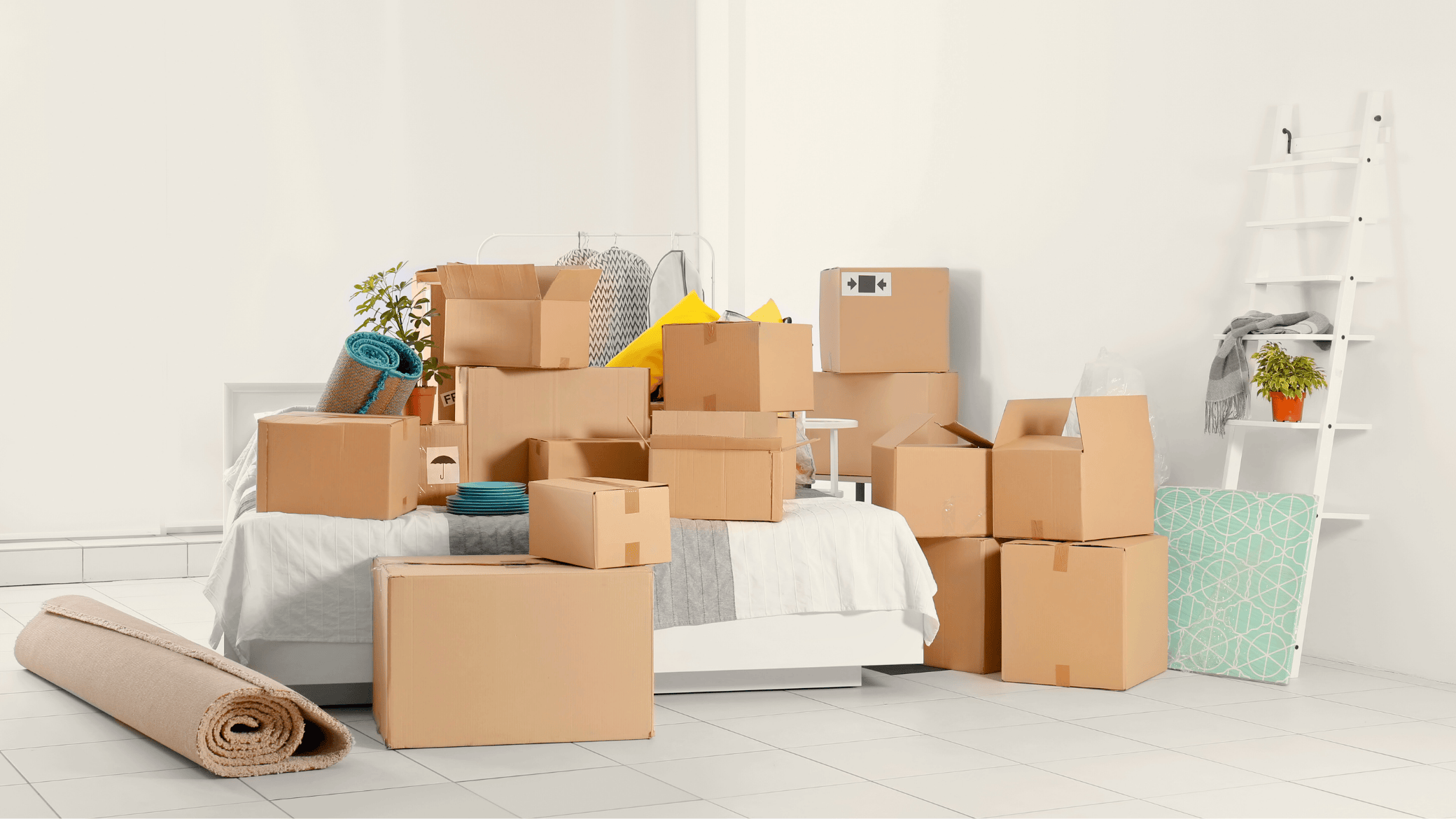  Specialty & Bulk Removal